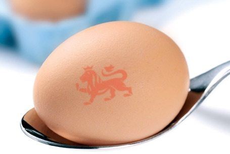 Egg containing protein