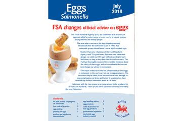 Eggs and Salmonella The Facts