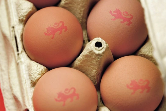 British Lion Eggs | What Does the Lion Stamp Mean | Egg Info