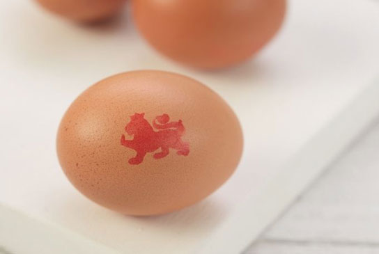 Eggs