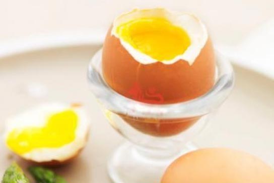 Egg yolk nutrition