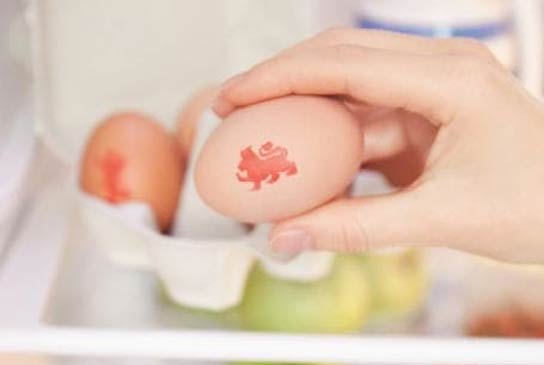 Eggs stored in fridge