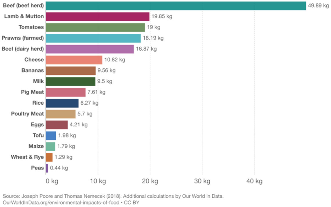 Greenhouse gas emissions per 100 grams of protein