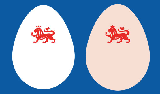 Brown and white egg