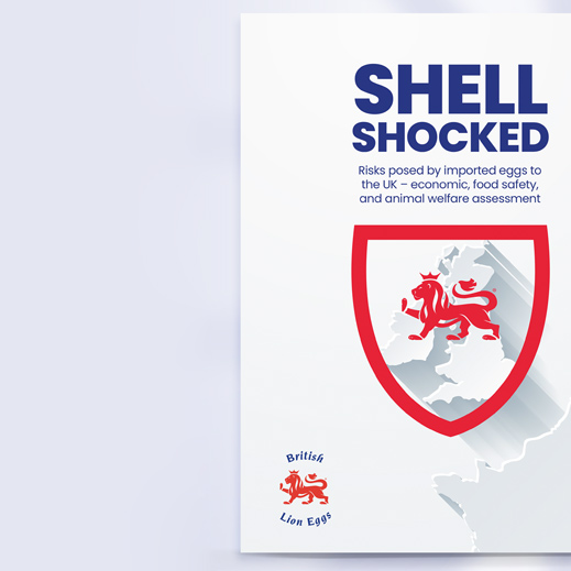 Shell shocked report banner