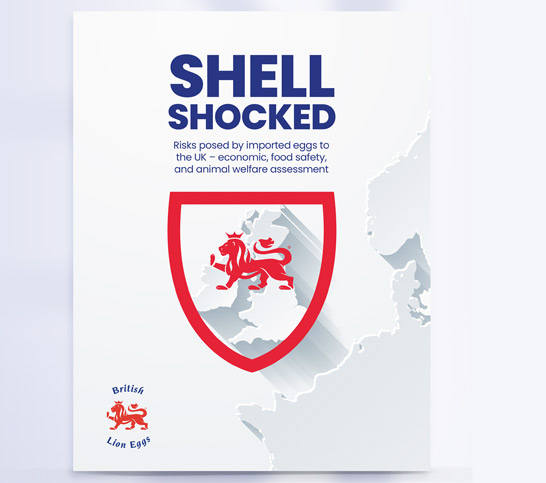 Shell shocked report cover image