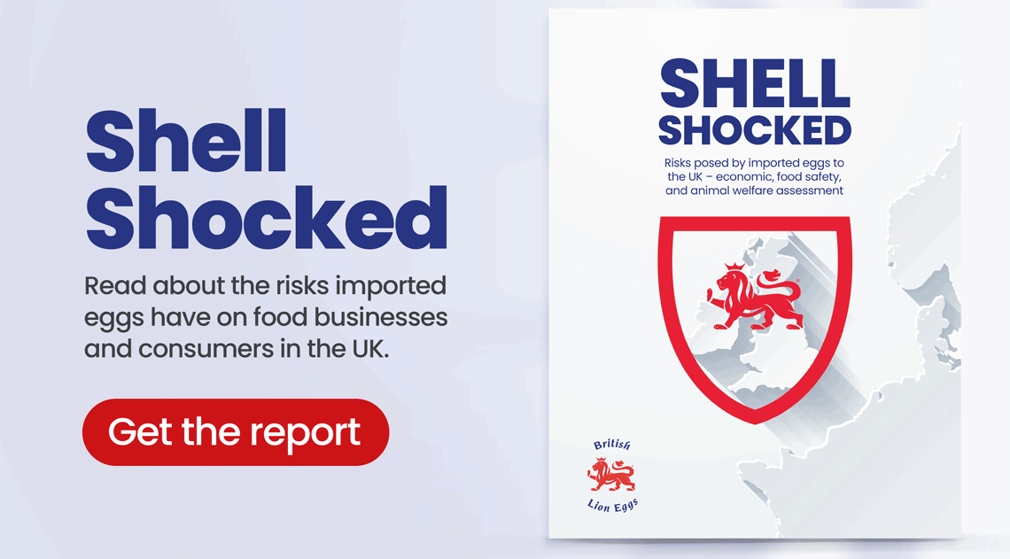 Shell shocked report image