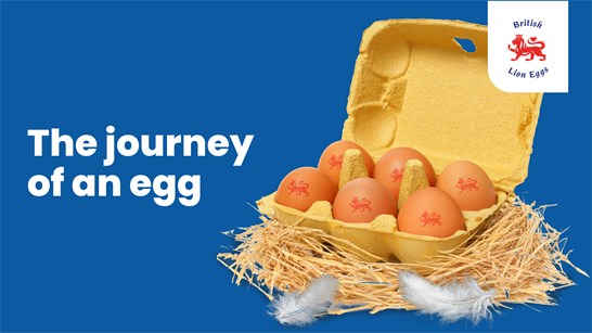 The journey of an egg Lesson Presentation