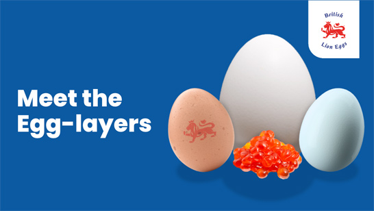 Animals that lay eggs cover image