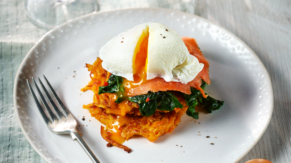Castor and pollux salmon and sweet potato outlet