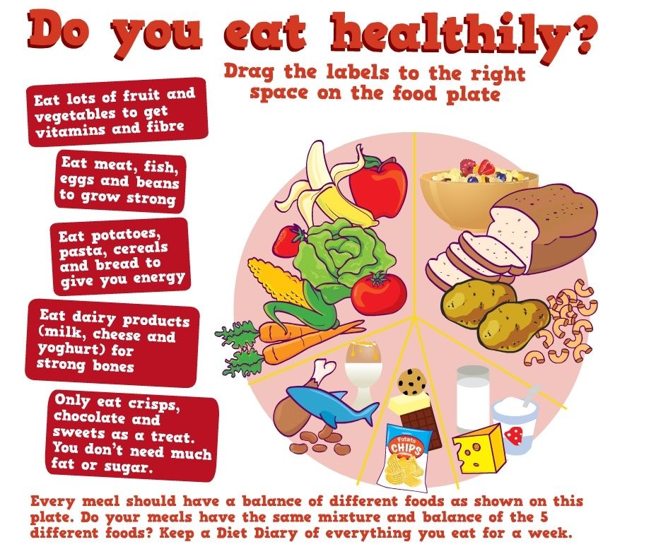 Balanced diet food plate 