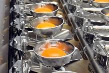 Liquid egg yolk.jpg