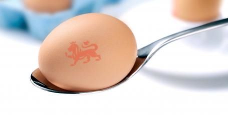 Eggs and salmonella_1-min.jpg