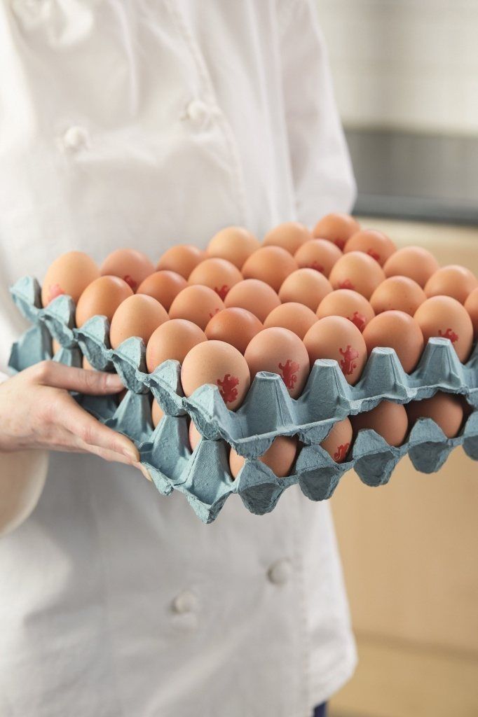 chefs eggs low res.jpg