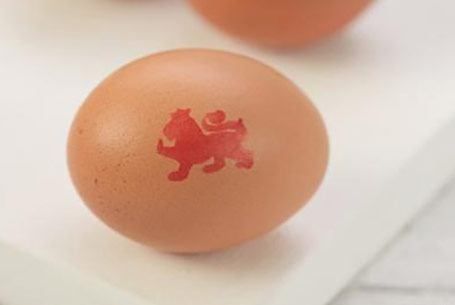 egg-weight-sizes-455x305.jpg
