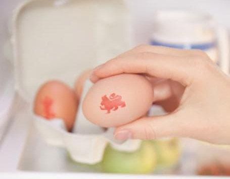 Egg in a fridge freezer