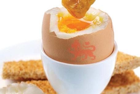 boiled-eggs-toast455x305.jpg