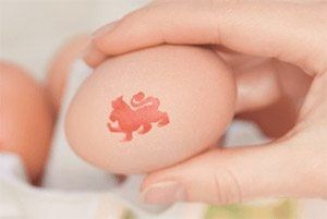 egg-vitamins300x201.jpg