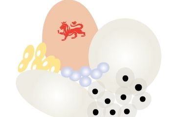 Which animals lay eggs_2.jpg