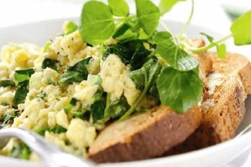 Scrambled eggs with watercress