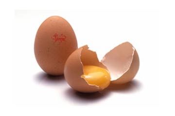 Egg