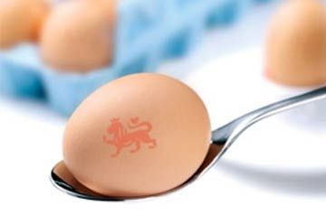 Egg on spoon