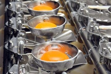 Egg products