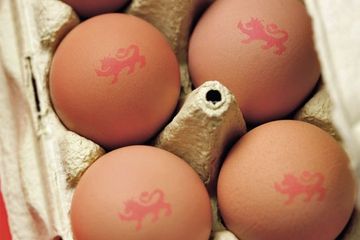 British lion eggs
