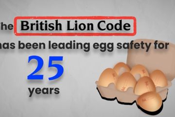 25 years of British Lion eggs