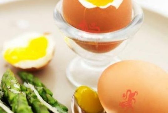 Egg yolk and egg white